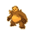 Gold Pangoro